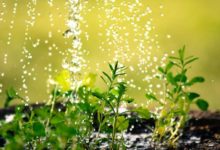 2022-08-29-Wasser