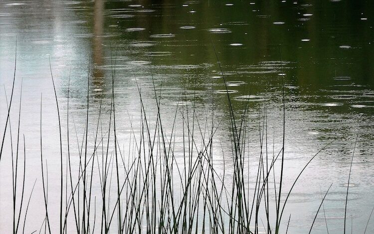 2023-04-03-Wetterfeste-Wasserwelt