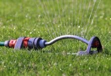2025-06-18-Gartentechnik
